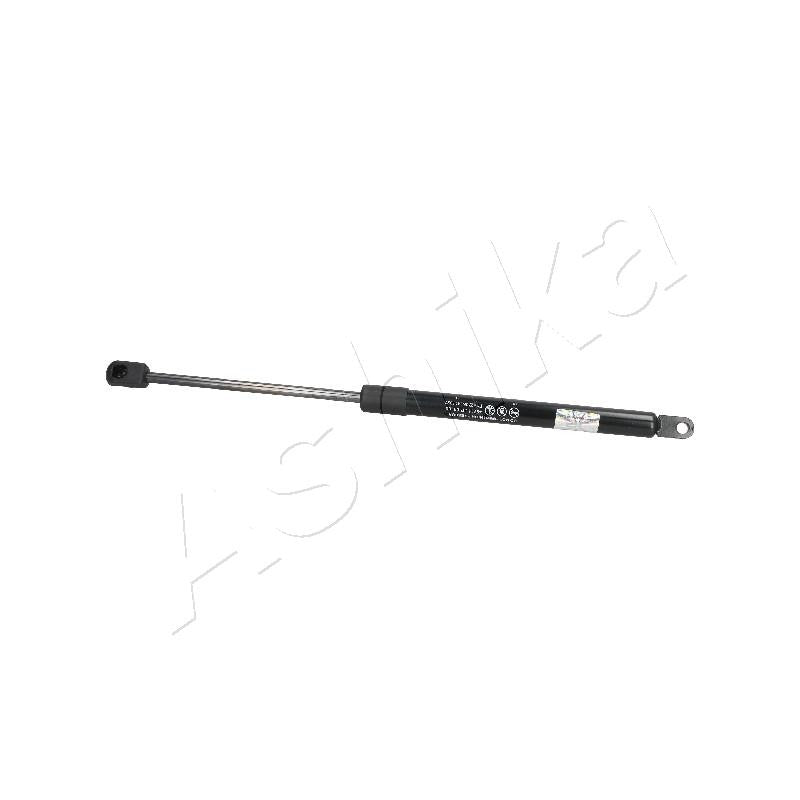 Amortizor haion Ashika ZSA09105