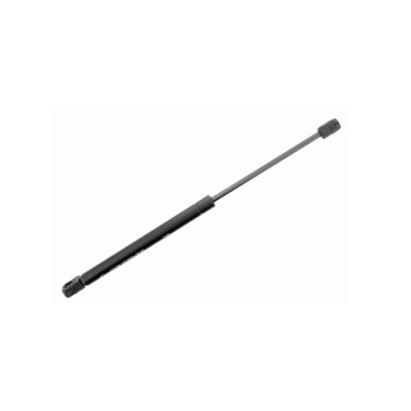 Amortizor capota MTR 12220730
