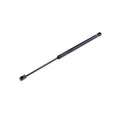 Amortizor haion MTR 12161345