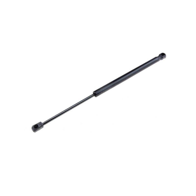 Amortizor haion MTR 12161345