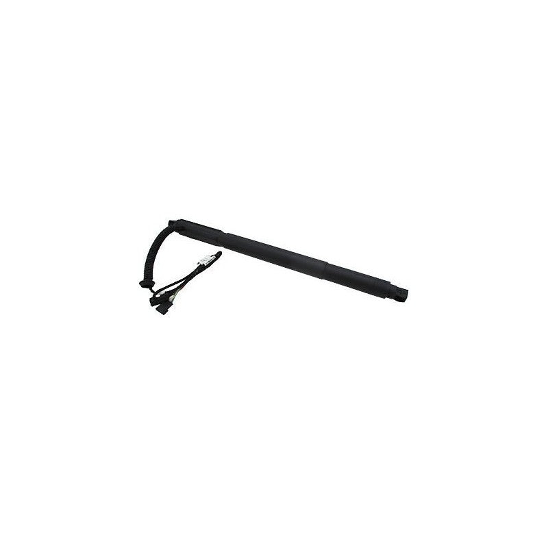 Arc MTR 12199656