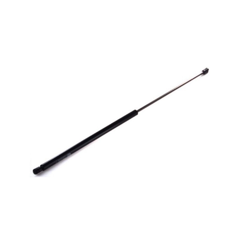 Amortizor haion MTR 12195028