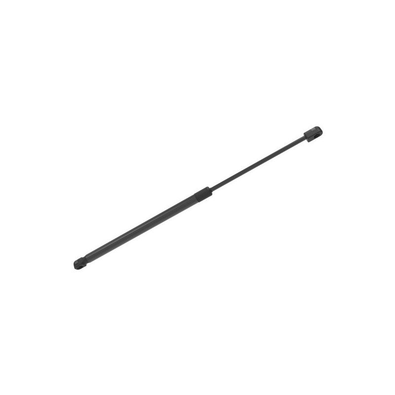 Amortizor haion MTR 13262335