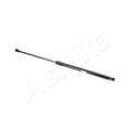 Amortizor haion Ashika ZSAW0022