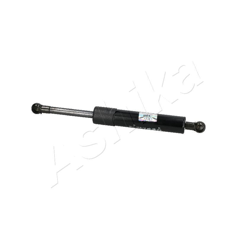 Amortizor haion Ashika ZSA03100