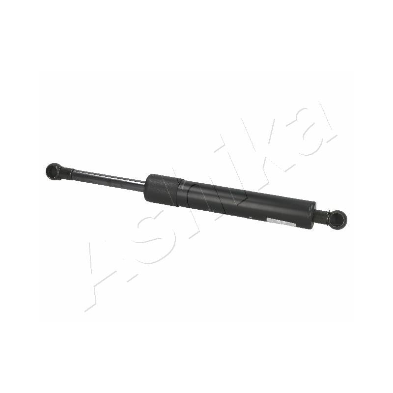 Amortizor haion Ashika ZSA03105