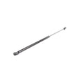 Amortizor haion MTR 12220645