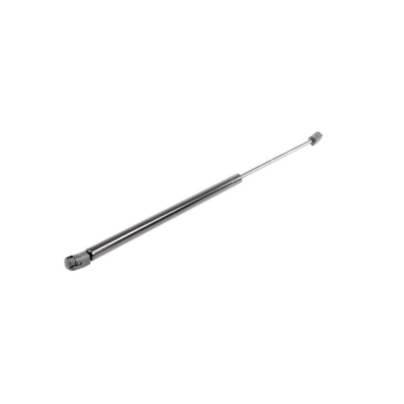 Amortizor haion MTR 12220645