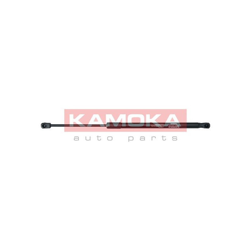 Amortizor haion KAMOKA 7092600
