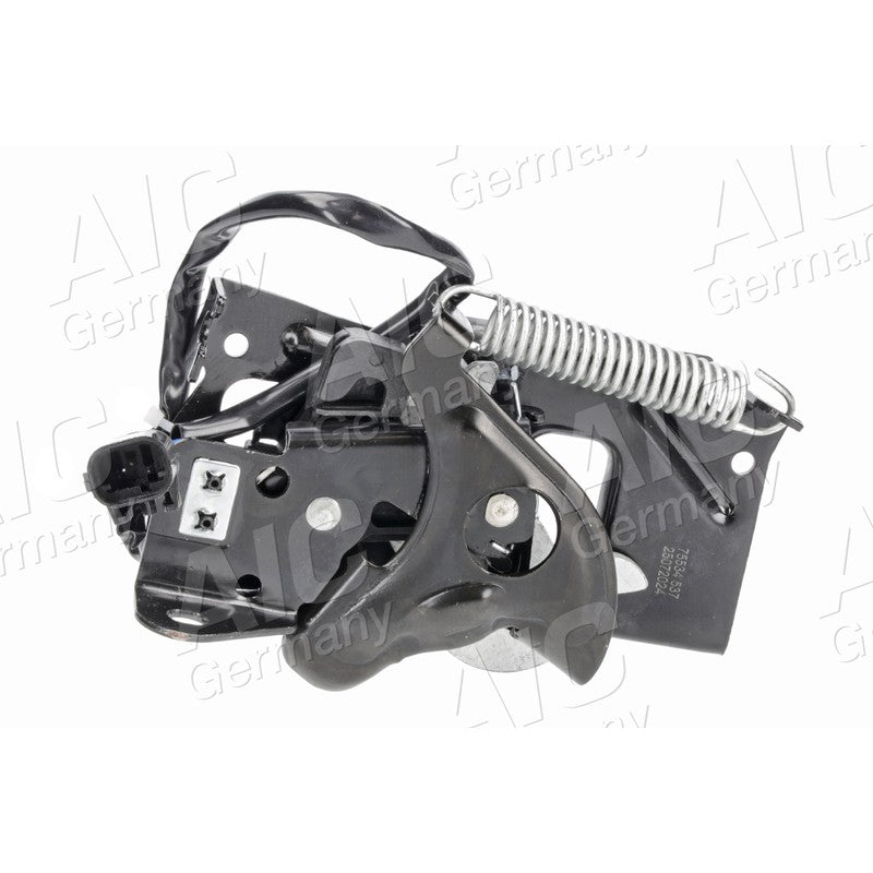 Broasca capota AIC 75534