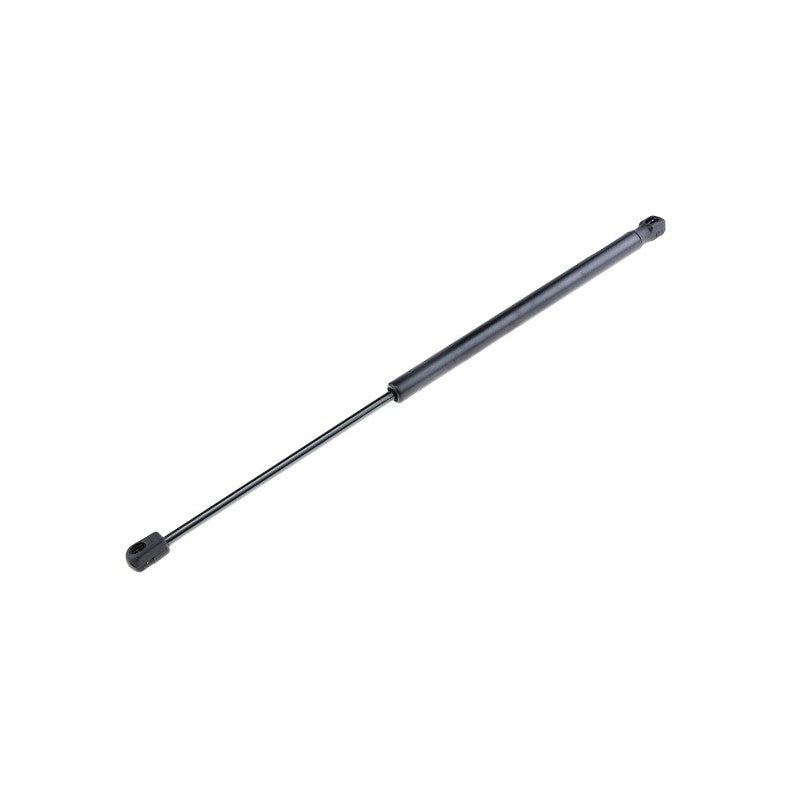 Amortizor haion MTR 12161336