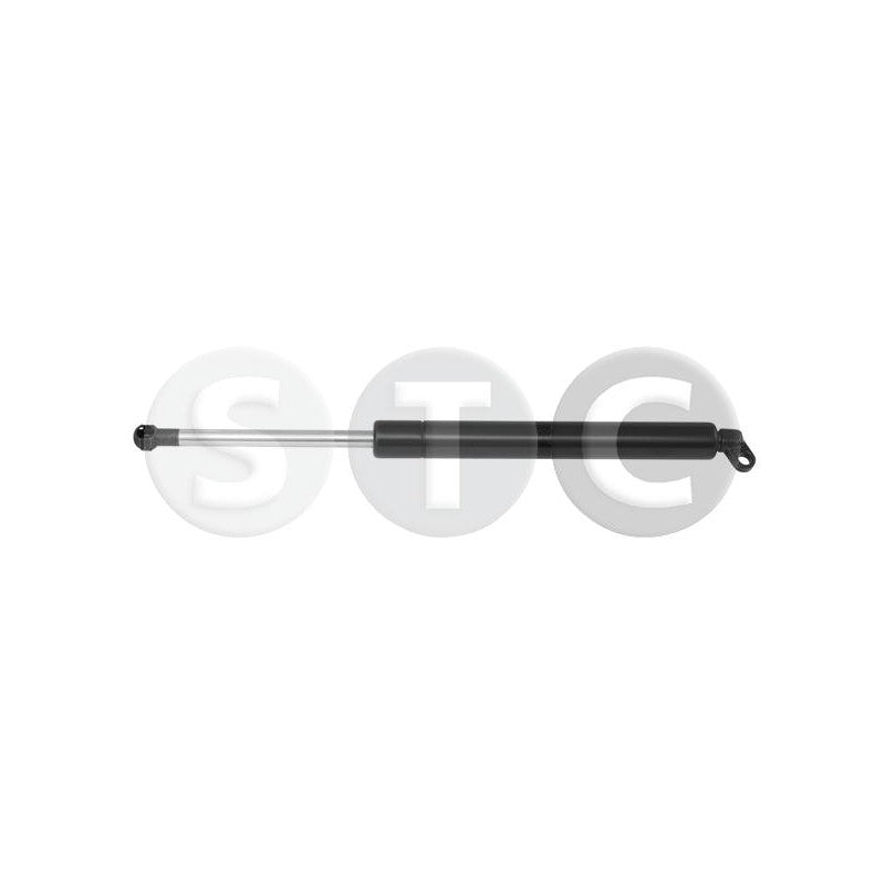Amortizor haion STC T446169