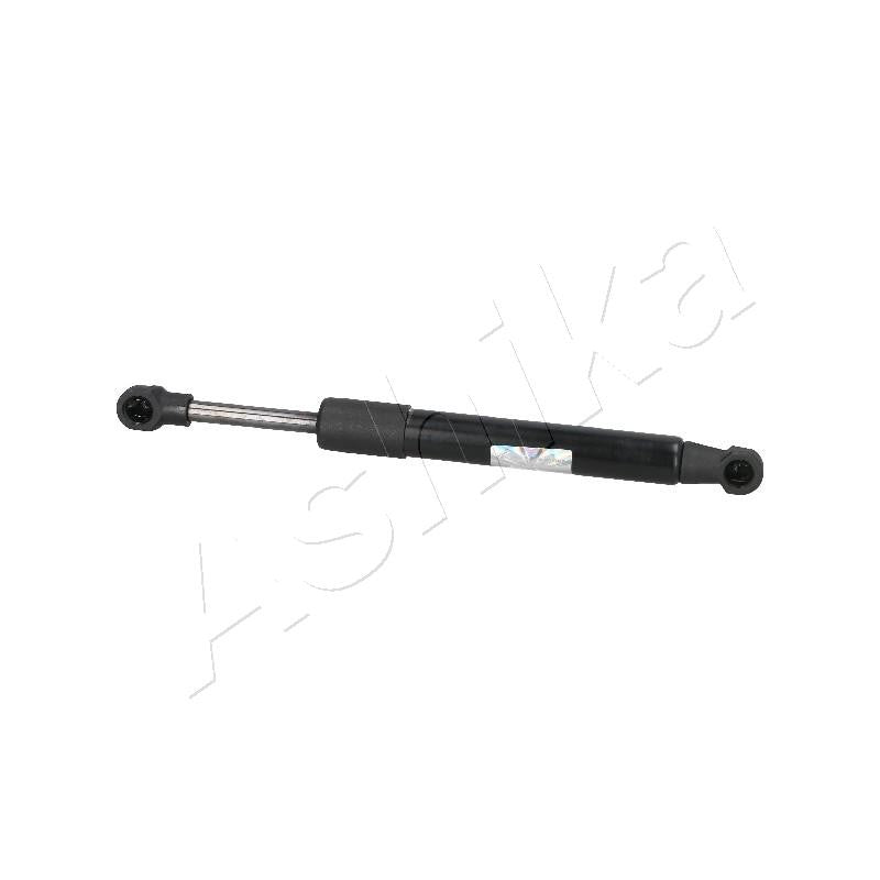 Amortizor haion Ashika ZSA09098
