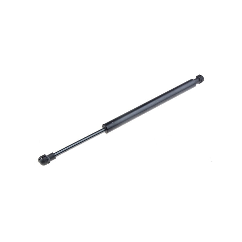 Amortizor haion MTR 12161354