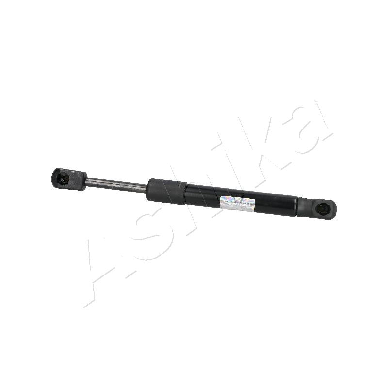 Amortizor haion Ashika ZSA09102