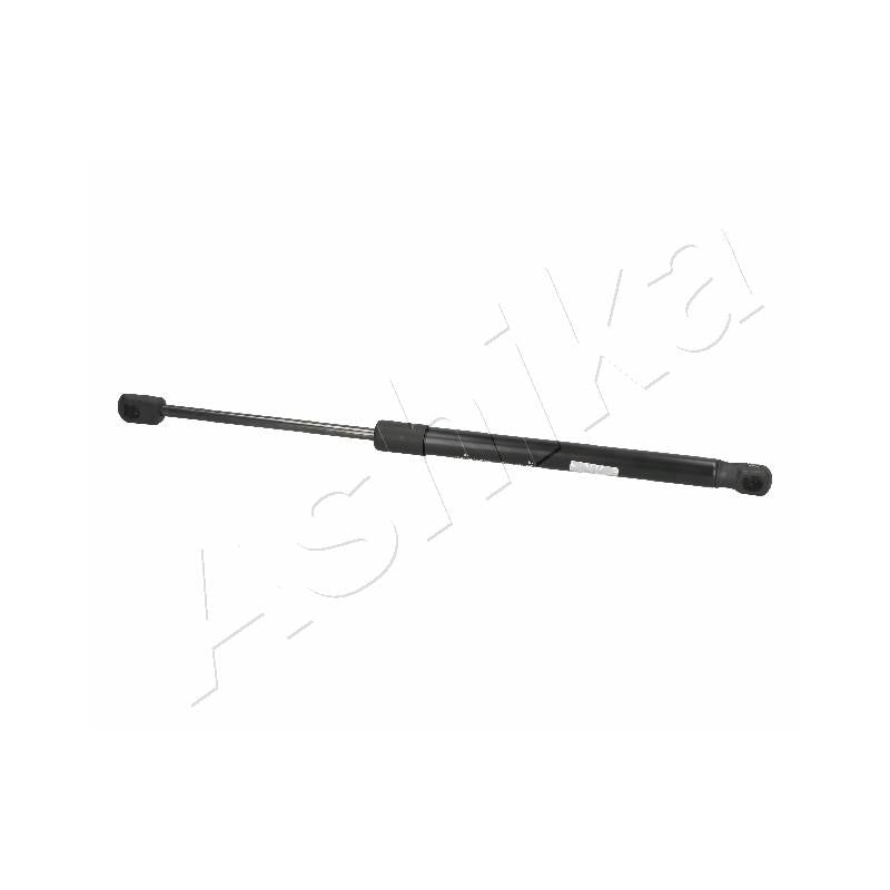 Amortizor haion Ashika ZSA09140