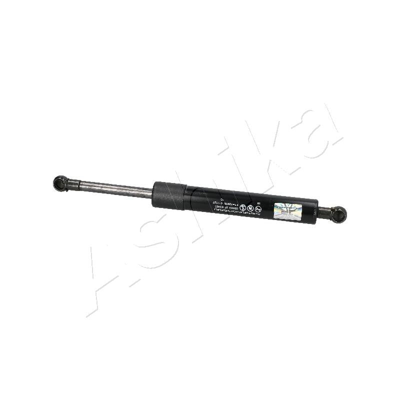 Amortizor haion Ashika ZSA03095