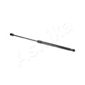 Amortizor haion Ashika ZSA09169