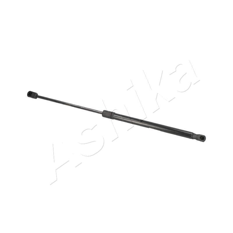Amortizor haion Ashika ZSA09169