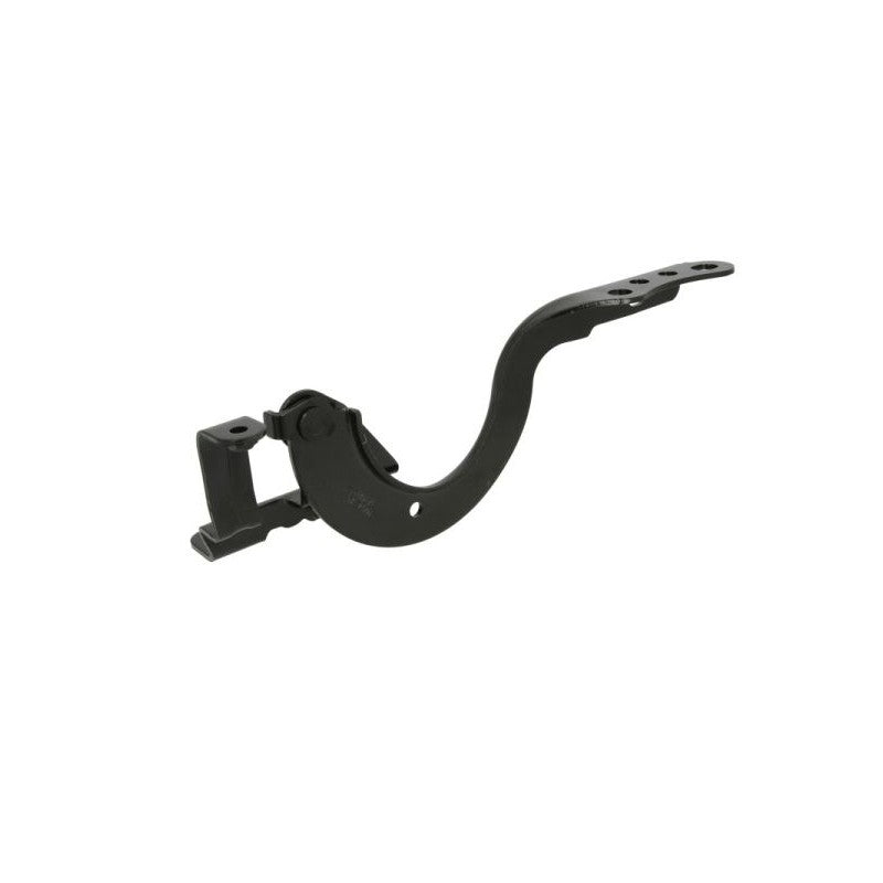 Hinge, bonnet MTR 12103627