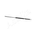 Amortizor haion Ashika ZSA40015