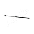 Amortizor haion Ashika ZSA10024