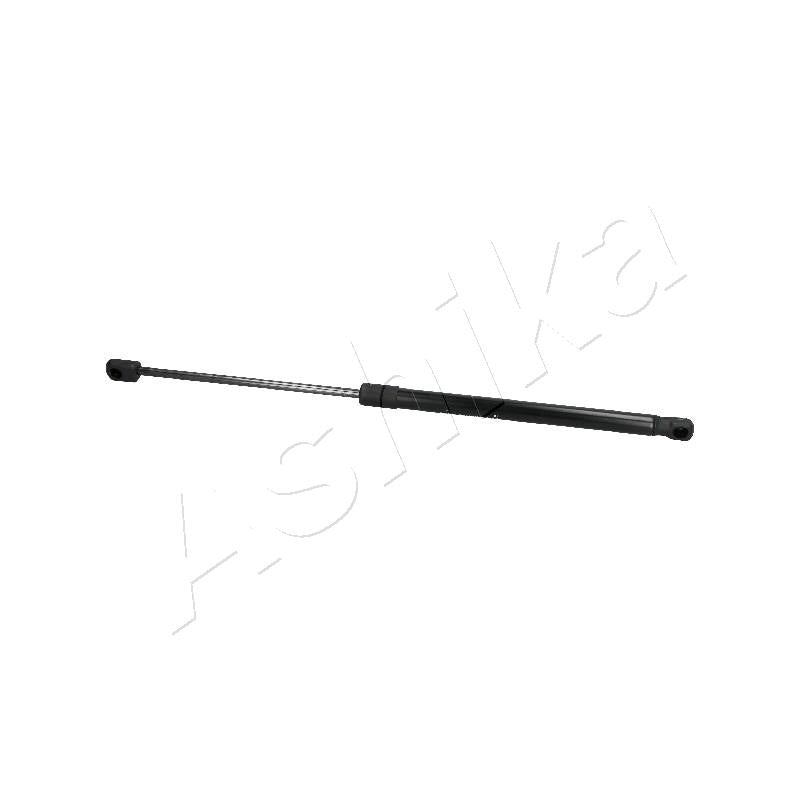 Amortizor haion Ashika ZSA10024