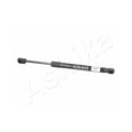 Amortizor haion Ashika ZSA01069