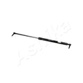 Amortizor haion Ashika ZSA90004