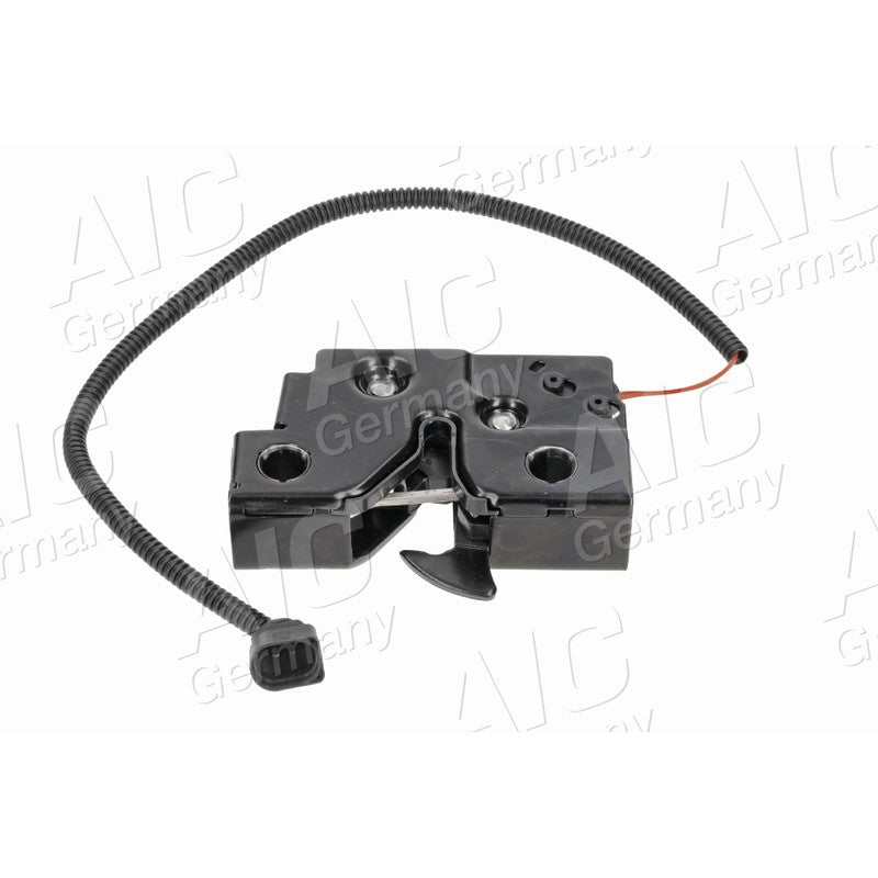 Broasca capota AIC 75545