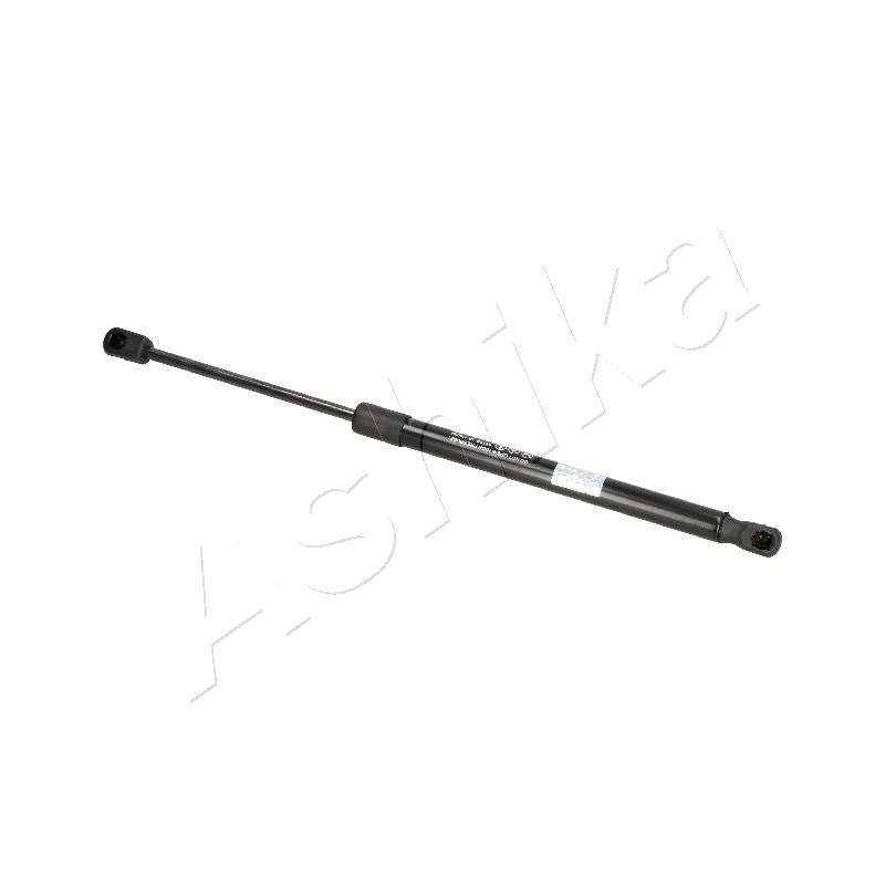 Amortizor haion Ashika ZSAH0024