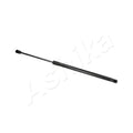 Amortizor haion Ashika ZSAL0014