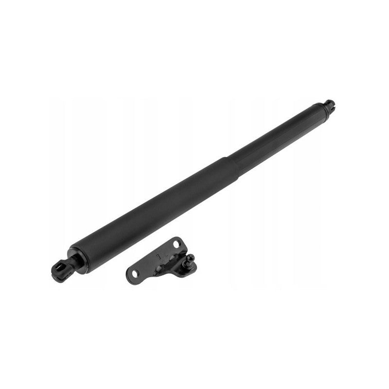 Amortizor haion MTR 12528050