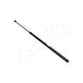 Amortizor haion Ashika ZSA05032