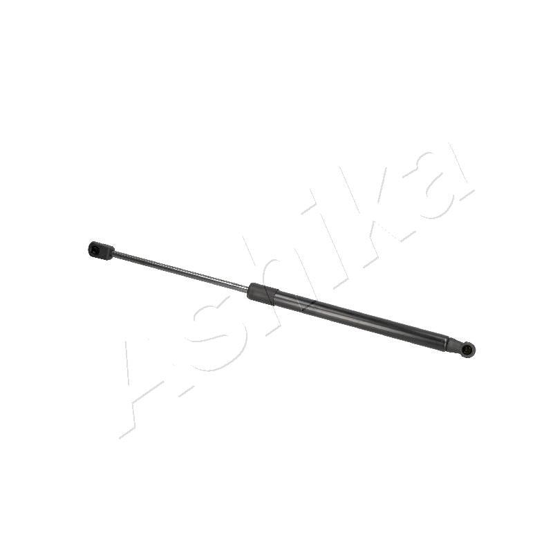 Amortizor haion Ashika ZSA09187