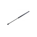 Amortizor haion MTR 12191910