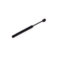 Amortizor haion MTR 12220644