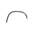 Trim/Protection Strip, wing MTR 12178482