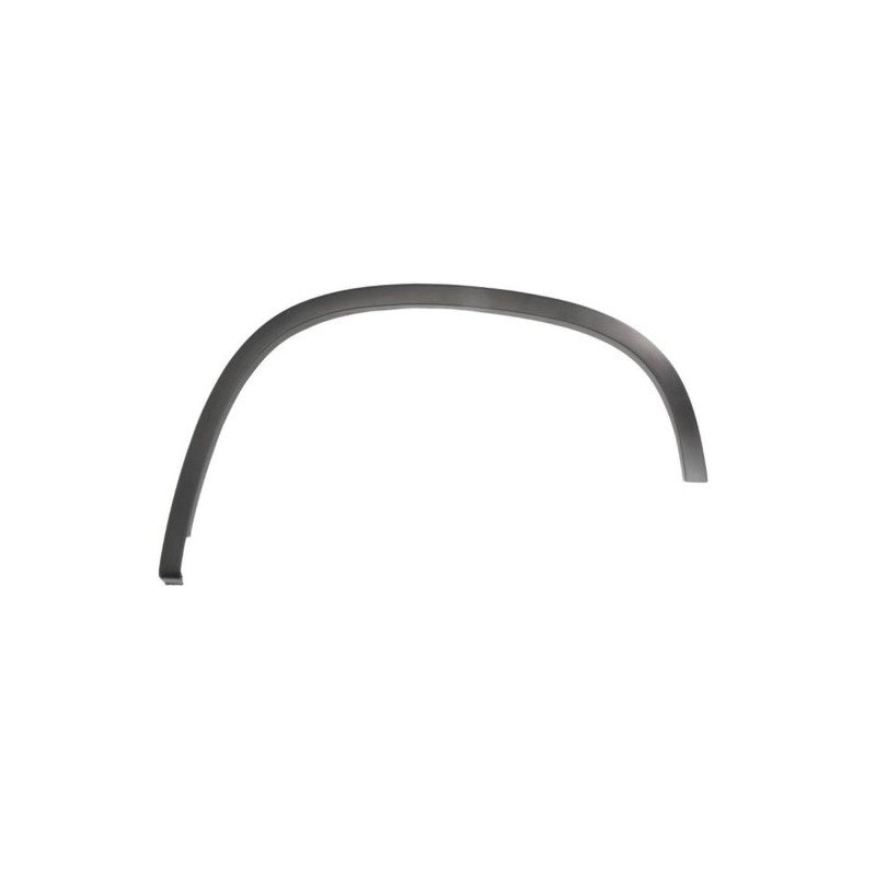Trim/Protection Strip, wing MTR 12178482