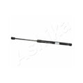 Amortizor haion Ashika ZSA09171