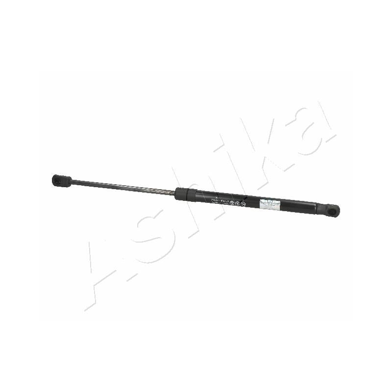 Amortizor haion Ashika ZSA09171