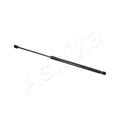 Amortizor haion Ashika ZSAW0025