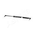 Amortizor haion Ashika ZSA90029