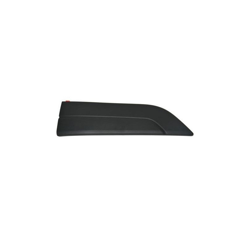 Trim/Protection Strip, wing MTR 12516830