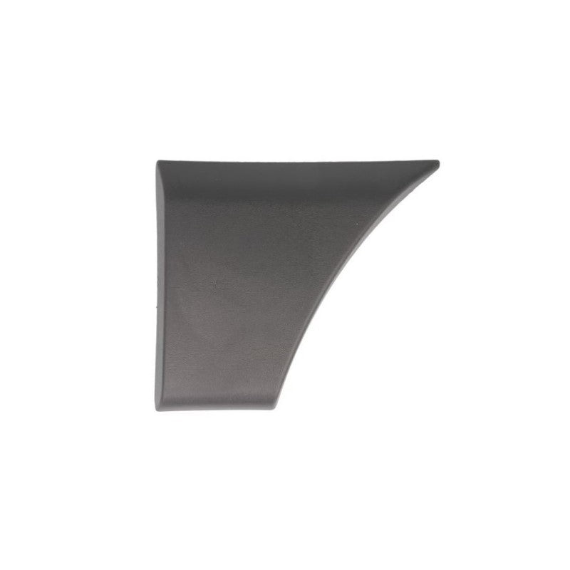 Trim/Protection Strip, wing MTR 12220751