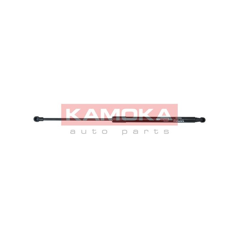 Amortizor haion KAMOKA 7092020