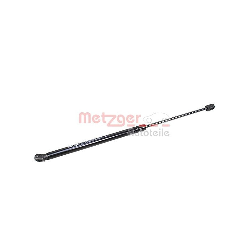 Amortizor haion METZGER 2110670