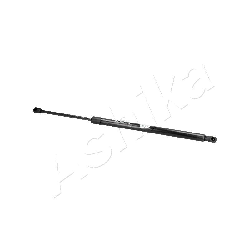 Amortizor haion Ashika ZSA09135