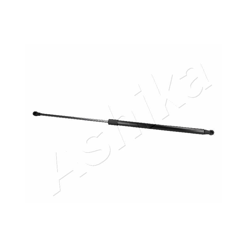 Amortizor haion Ashika ZSA06085