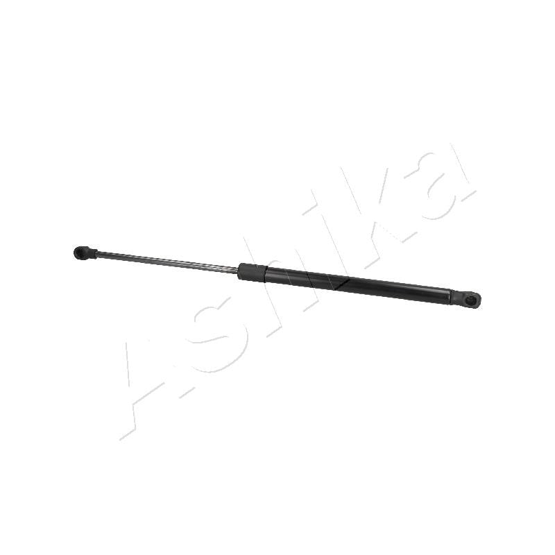 Amortizor haion Ashika ZSA09190